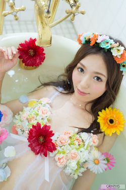 县委大院多少集